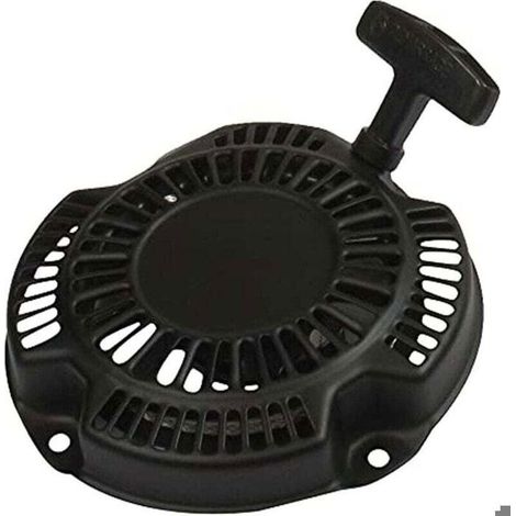 Motor versátil, apto para modelos Robin/Subaru, potente y fiable. (1/2)