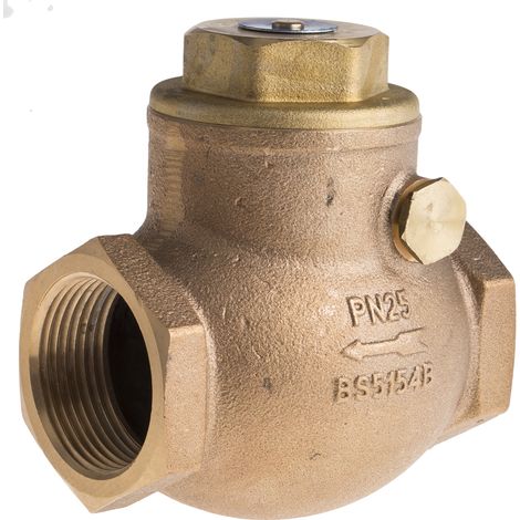 Clapet antiretour en Bronze RS PRO BSPT 1-1/4" ( Prix pour 1 ) (1/2)