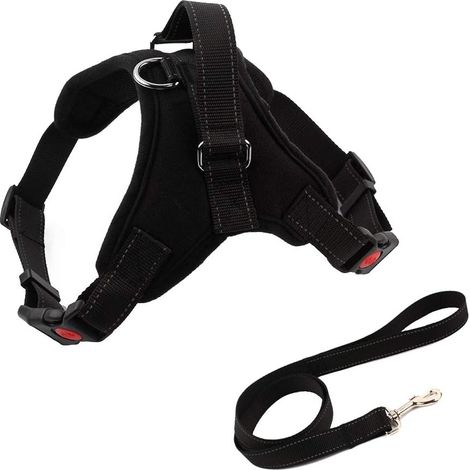 Harnais et laisse anti-traction réfléchissants et réglables pour chien - Robuste - Rembourré - Avec poignée - Pour chiens de petite, moyenne et grande taille - Dressage et promenade - Taille M (1/3)
