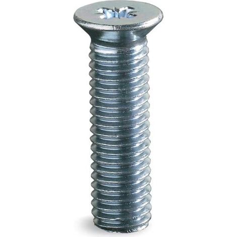 MASIDEF - 4 PEZZI - VITI A CAPPELLO IN ACCIAIO ZINCATO 10X33MM - IMPRONTA A CROCE (1/2)