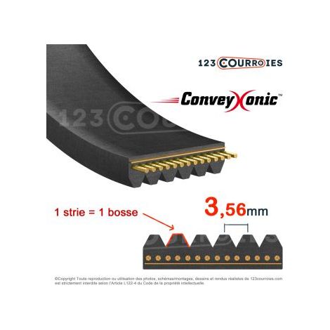 Courroie Hutchinson Conveyxonic 6PK541