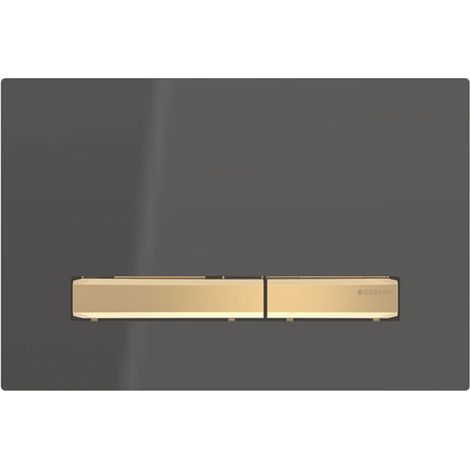 Zweimengenspülung – Zinkdruckguss und Kunststoff – Schwarz und Messing – Abmessungen 246 x 164 x 13 mm (1/4)