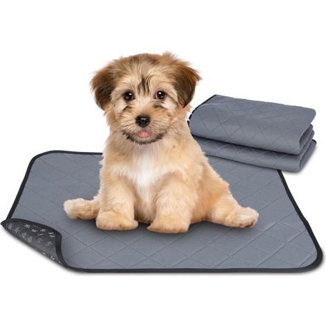 Tapis absorbants lavables pour cochons d'Inde - Tapis pour cage de cochon d'Inde - Coussin pour chien - Absorbant/Lavable/Réutilisable/Anti-fuites - Fond antidérapant - Pour lapins et rongeurs - Lot d (1/5)