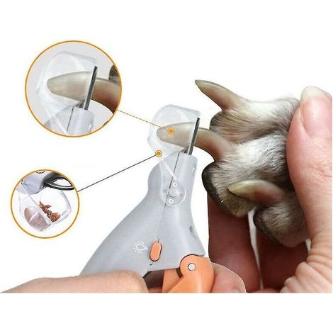 Coupe-ongles professionnel pour animaux de compagnie, coupe-ongles pour chiens et chats, coupe-griffes avec lumière LED, 1 pièce (1/5)
