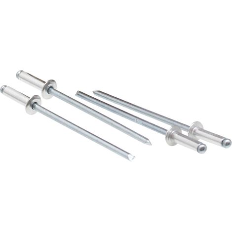 Rivetti ciechi a testa piatta 6x30mm ISO 15977 200 pz. 00370250 (1/2)