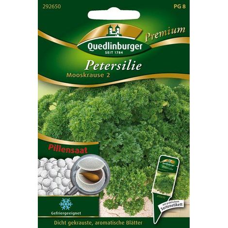 Quedlinburger Pille Petersilie Moskrul 2 - Kräutersamen