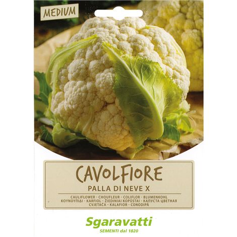 SEMI PER ORTAGGI E VEGETALI cavolfiore palla di neve X Q.TA 20 cavolfiore palla di neve X