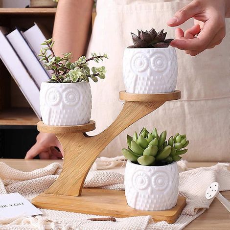 Ensemble de pots de fleurs en forme de hibou mignon pour plantes succulentes et cactus, avec étagère et plateau décoratifs en bambou. (1/4)