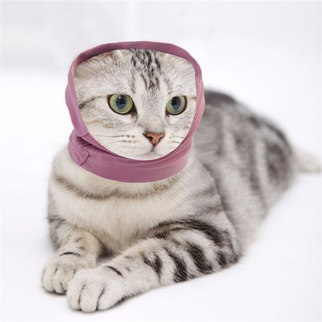Cache-oreilles pour chien - Cache-cou et oreilles - Pour soulager l'anxiété et le toilettage - Pour chiens et chats - Imperméable - Aide à calmer le bruit - Taille S - Rose (1/5)