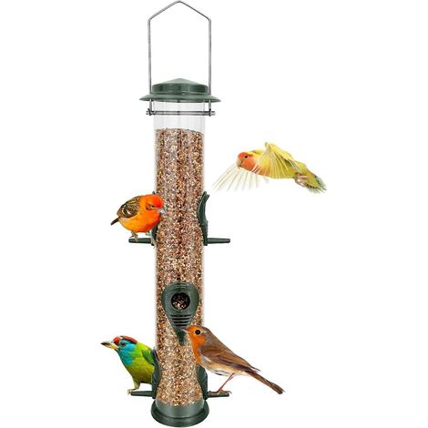 1 Mangeoire à oiseaux, 6 perchoirs, métal étanche, tube transparent, jardin extérieur