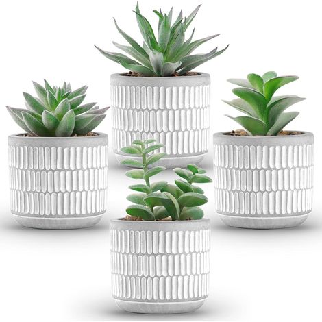 Lot de 4 Fausses Plantes Succulentes Artificielles pour Salon, Salle de Bain, Chambre à Coucher, Décoration d'Intérieur et de Cuisine (1/5)