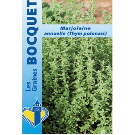 Marjolaine annuelle (thym polonais) le sachet de 2400 graines environ (0,7g)