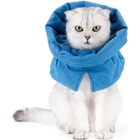 Écharpe anti-léchage pour chat, collier élisabéthain chaud et ajustable, idéale pour les interventions chirurgicales et la cicatrisation des plaies. Taille M (20-35) (1/5)
