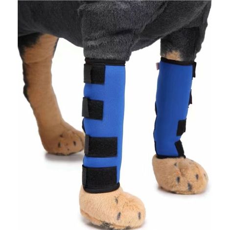 Genouillère de protection pour chien avec bandes de soutien, bleu, taille S – DELKEVIC (1/5)