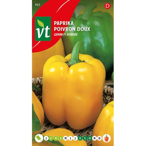 Poivron Doux Golden star F1 Hybride - Ca. 0,15 gr (Livraison (1/2)