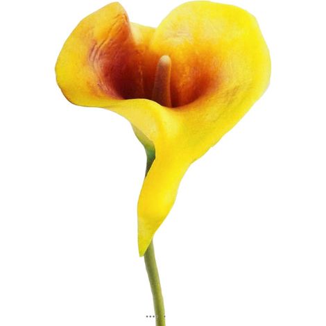 Arum calla fleur artificielle Jaune aubergine H 42 cm Superbe - couleur: Vanille