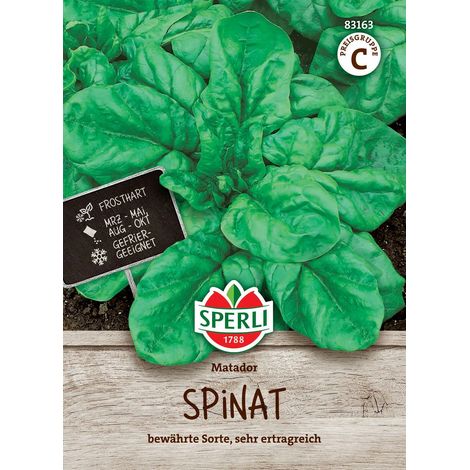 Sperli Spinat Matador - Gemüsesamen (1/2)
