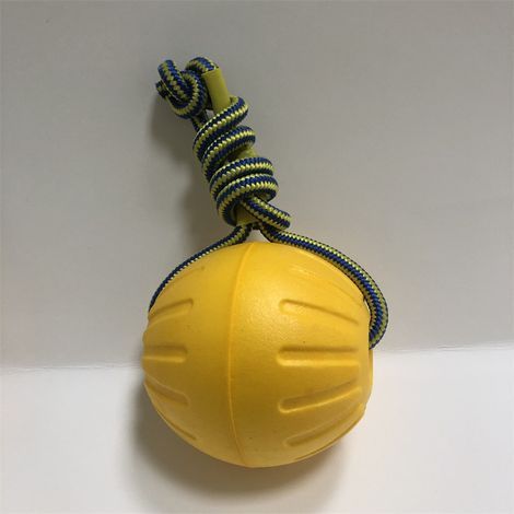 Hundeball mit Seil, Hundetrainingsball in Mo (1/5)