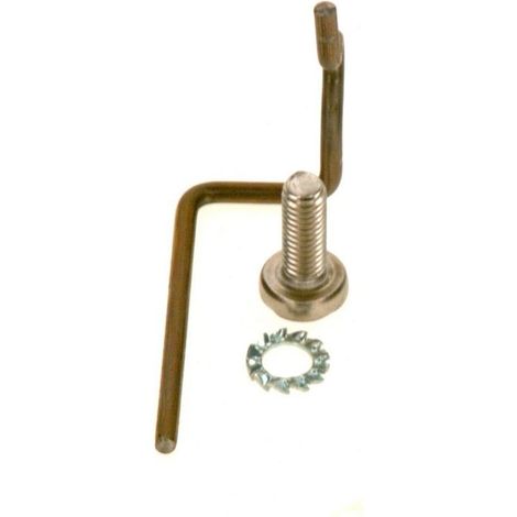 BOSCH Electrodo de masa, 87290124090