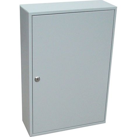 Gabinye de llaves s 150 H. 1 puerta 550x380x140 (1/3)