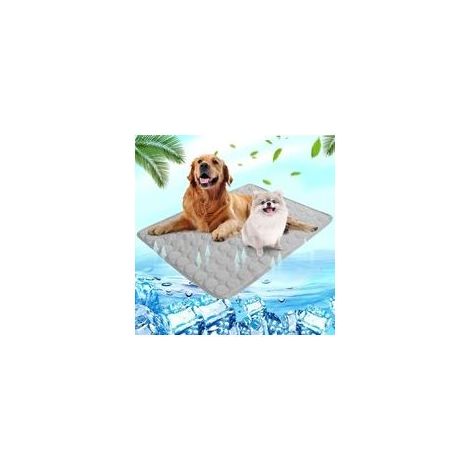 Tapis rafraîchissant pour chien et chat – Lavable – Antidérapant – Soie glacée – Coton – 60 x 50 cm – Refroidissement 3-4°C (1/5)