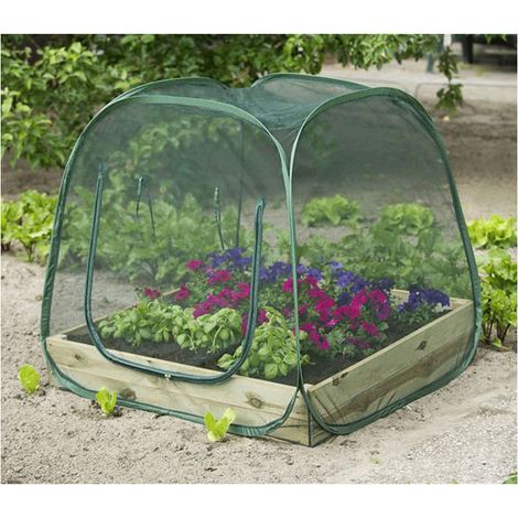Direct Filet Filet anti-insectes pop-up 1x1m Maille 1x1mm en polyester Armature acier Protection optimale pour carré potager