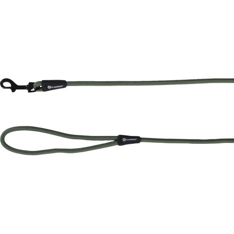 Laisse Chien - Cami Vert – 130cm L x 0,8cm l x 0,8cm H (Ø 0,8cm) – Nylon – Mousqueton Noir Brillant – Look Chic et léger