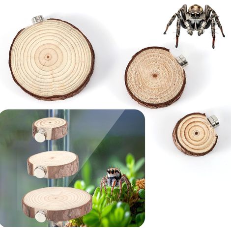 3pcs Accessoire pour Araignée Sauteuse, Rebords Magnétiques pour Enclos d'Araignées Sauteuses Habitat pour Araignées Sauteuses Accessoires pour Enclos d'Araignées Sauteuses (Rond) (1/5)