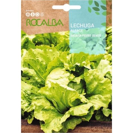 Rokalba Seed Lechuga von Pierre Benite 500G