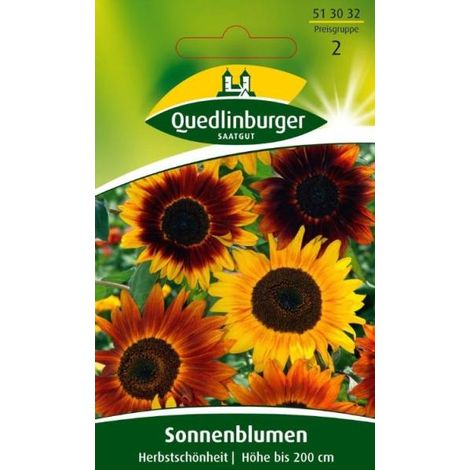 Quedlinburger Sonnenblumen Herbstschönheit - Blumensamen (1/2)
