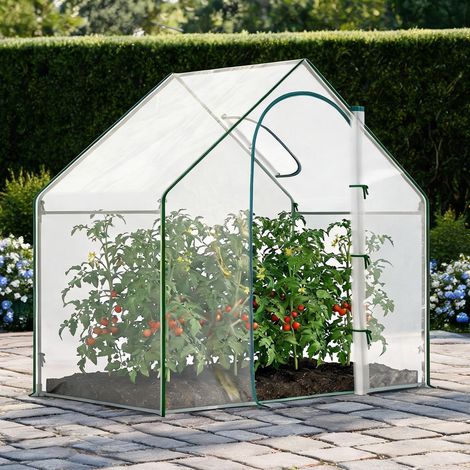 Serre de jardin transparente en pE Plástico 180 x 100 x 168 cm (1/5)