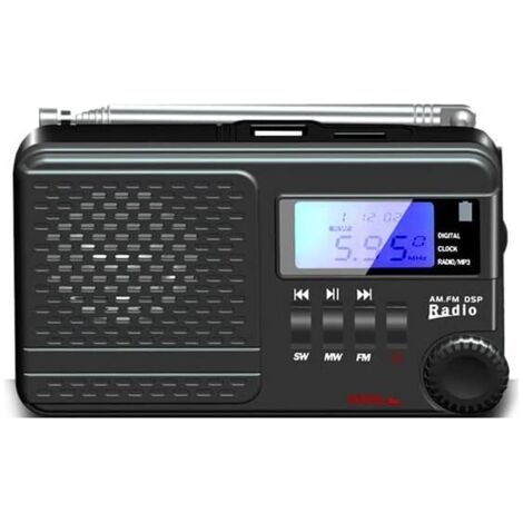 Radio numérique Portable Pocket FM/MW/SW Récepteur TF/USB Lecteur MP3 avec écran LCD Support Sommeil temporisé/Casque/Réveil (1/5)