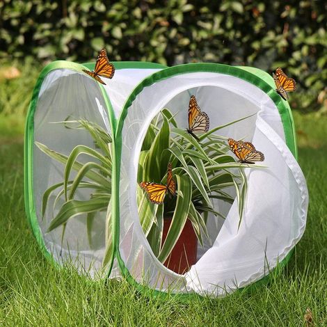 Cage de protection en maille pour plantes et élevage de papillons, cloche anti-insectes pour semis au potager, Composition : 30 × 30 × 30 cm, Couleur : vert (1/5)