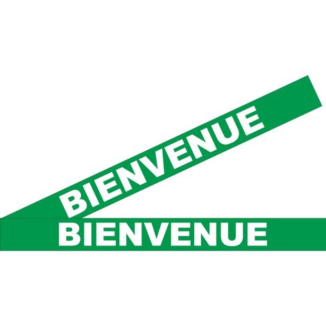 Lot 2 bandes 100mm x 1m - Bienvenue Vert - 4641713 (1/2)