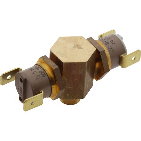 Polti gruppo doppio pressostati 3bar 5bar Ty60 Vaporetto Pro 90 95 Turbo Flexi (1/3)