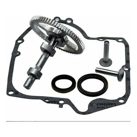 Carburateur Arbre à cames Briggs & Stratton 793880 793583 792681 791942 795102 Kit de remplacement de came avec joint d'huile 795387 et joints de carter Ruikalucky 697110 LKBD (1/4)