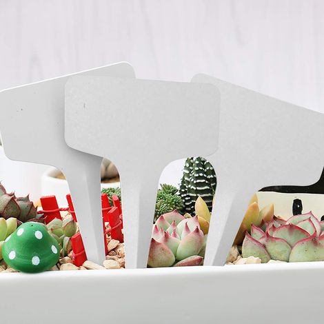 100 étiquettes de jardin en PVC blanc, pour le tri des plantes, avec plaque d'écriture en plastique. (1/5)