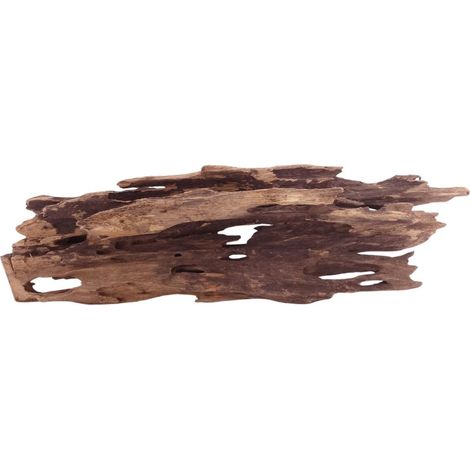L Honey Comb Wurzel Nr.5123 Holz Deko Aquascaping