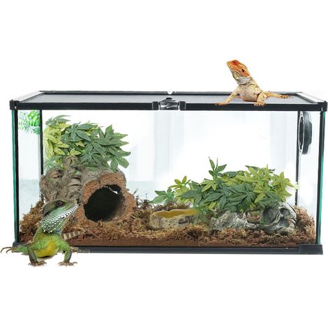 Aquarium Artificiel Plantes et Lianes pour Décoration de Terrarium - Feuilles d'Ipomea (50cm) (1/5)