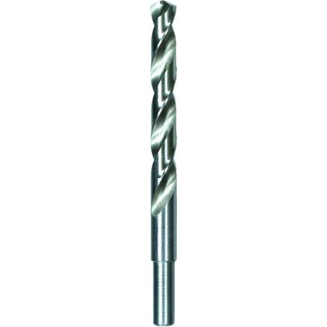 TrAdE Shop Traesio - Punta Trapano A Spirale Per Legno 16mm 91 Falegname Foro Falegnameria Trivella -