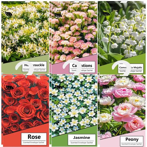 Pack of 12 Scented Sachets for Wardrobe with a Good Home Smell, Lavender Sachets, Car Fragrance Cupboards, Scented Wardrobe Bag, Home Fragrance Home Scent, Deodorising Clothes Wardrobe (Multi) (1/5)