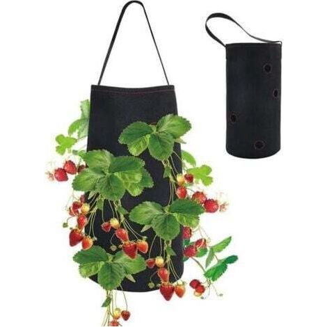 (38 x 22cm) Sac de Plantation de Fraises Sacs de Culture Sac de Plantation Jardin pour Fraise pour Plantes de Jardin Herbes Fleurs (1/5)
