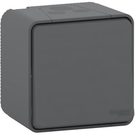 Interruptor seccionador MUREVA gris IP55 16A 250V 2 polos 1 vía para exteriores