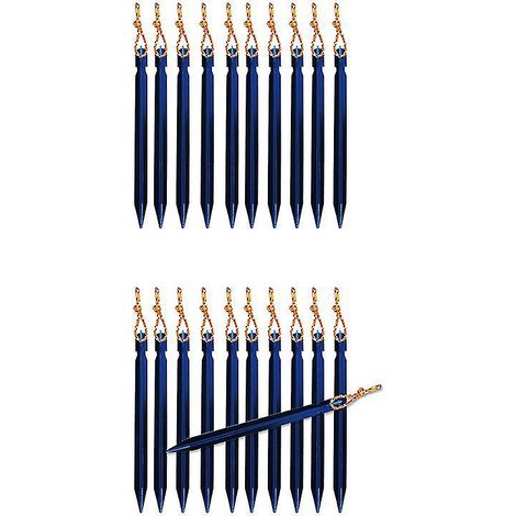 10 piquets à neige (1/3)