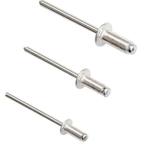 QAZQA Lot de 100 Rivets Aveugles en Aluminium (1/5)