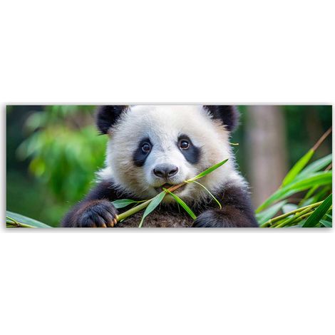 Tableau panoramique panda nature bambou (1/5)