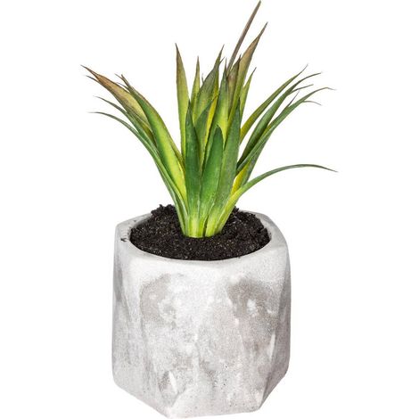 Künstliche Fettpflanze - Zementtopf - H14 cm