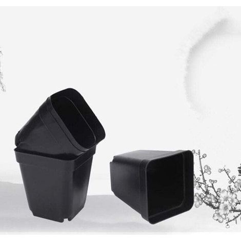 50 vasetti neri per semina - Vasi quadrati in plastica per piante - Piccoli vasi da fiori per interni/esterni (Nero/ 6x6x5,5 cm) (1/3)
