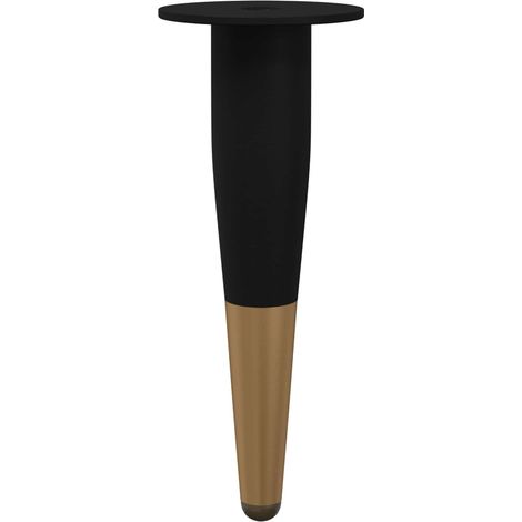 Furniture Feet 2 pcs Black and Gold Ø 40 x 98 mm Iron vidaXL