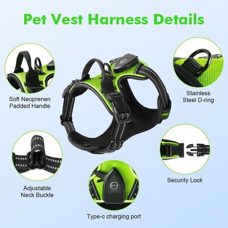 Harnais lumineux pour chien réglable et respirant, gilet réfléchissant haute visibilité pour promenade nocturne, sécurité maximale (1/5)